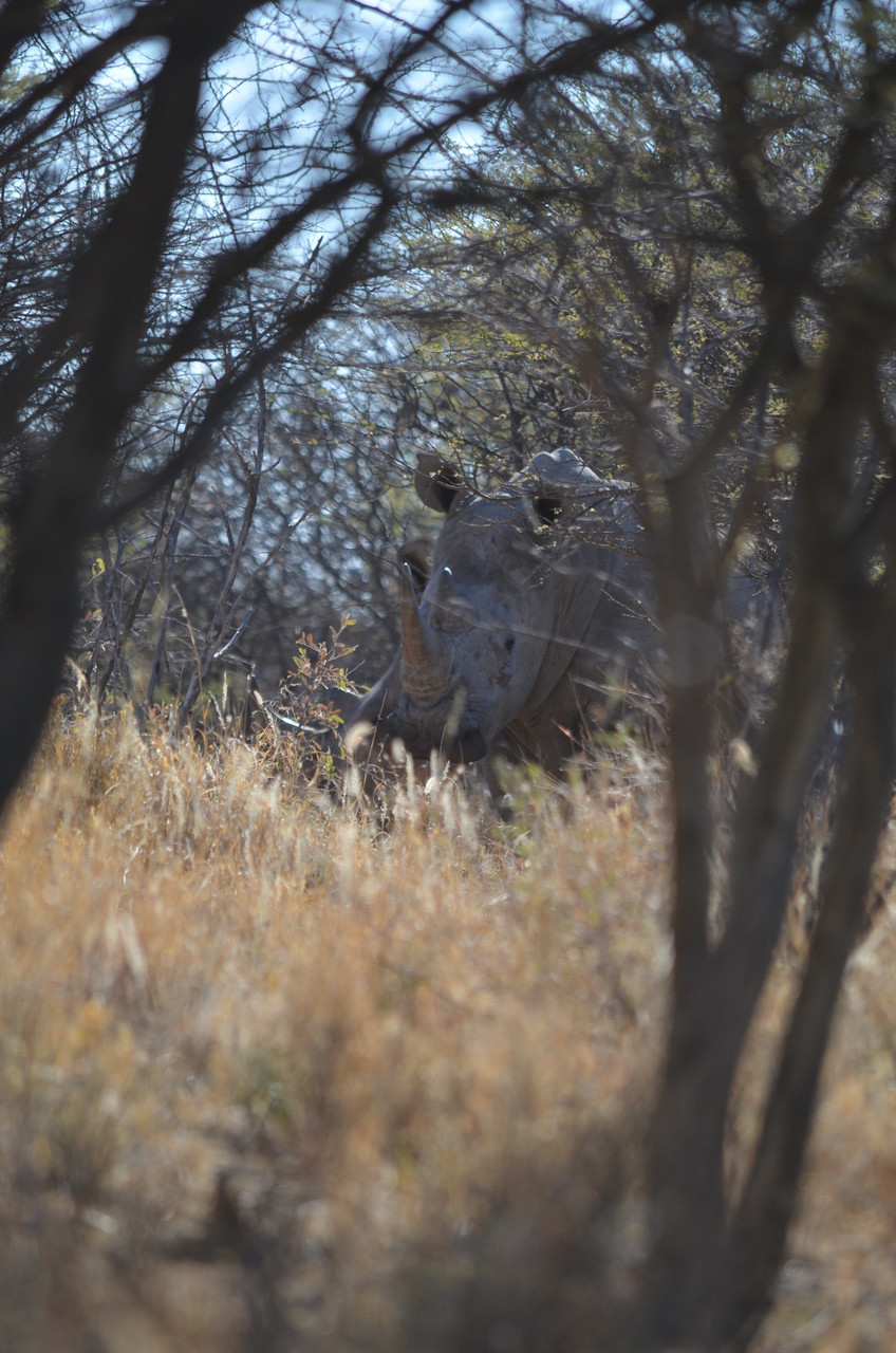 [4487] 2016_06_23_00_28_33_Africa_NIKON_D5100_IMG__04637.jpg