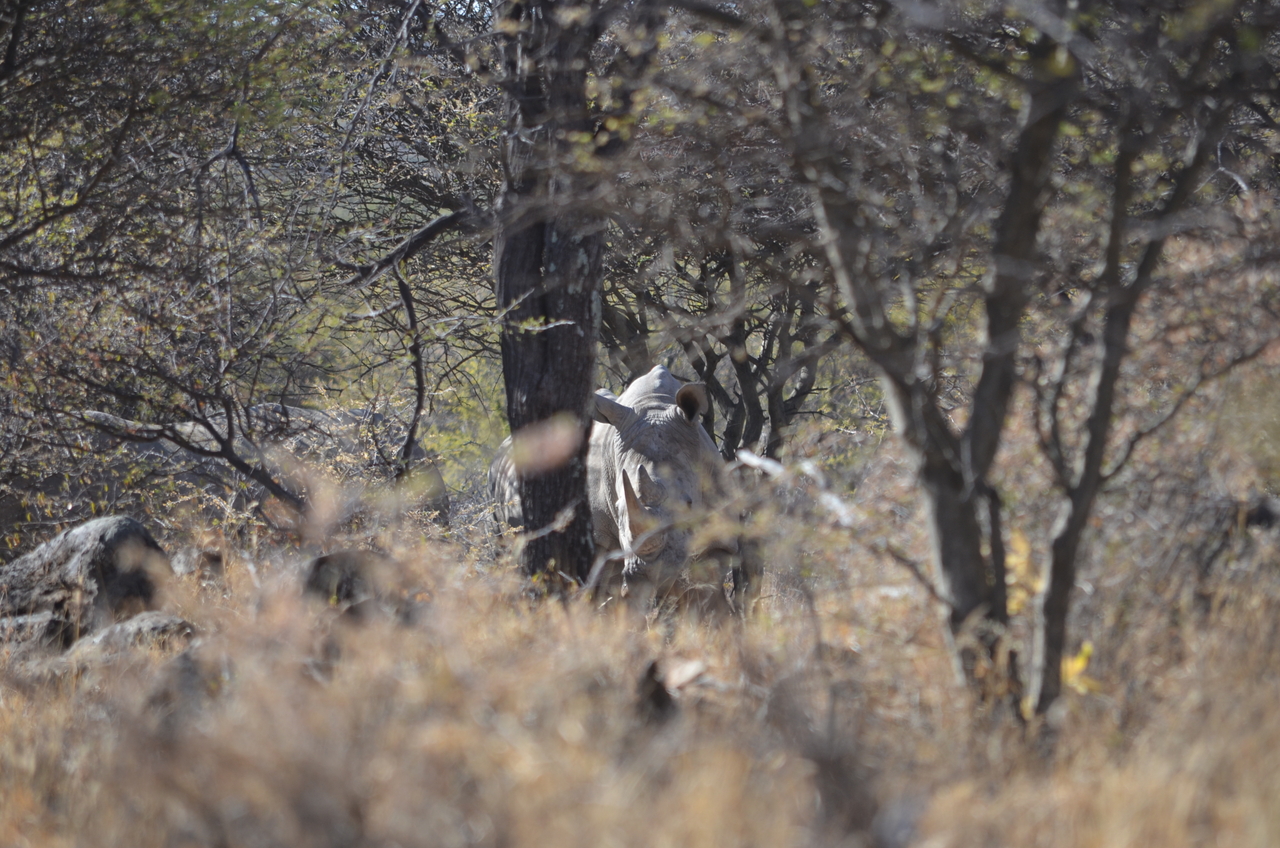 [4492] 2016_06_23_00_35_37_Africa_NIKON_D5100_IMG__00018.jpg