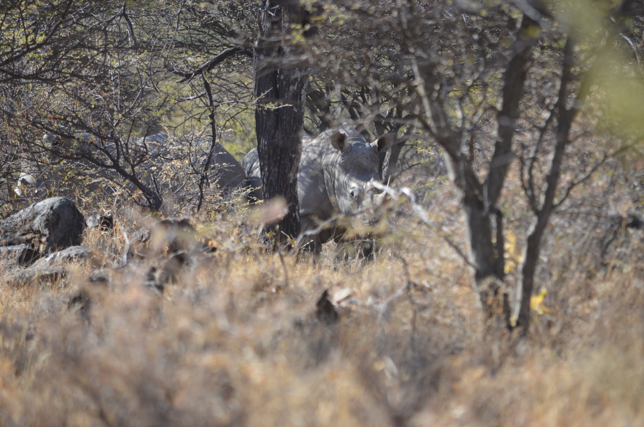 [4498] 2016_06_23_00_36_13_Africa_NIKON_D5100_IMG__00021.jpg
