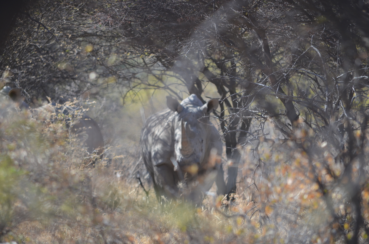 [4501] 2016_06_23_00_38_10_Africa_NIKON_D5100_IMG__04644.jpg