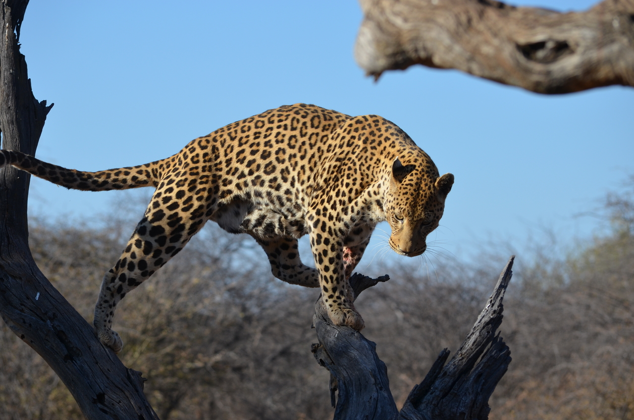 [5069] 2016_06_23_06_35_40_Africa_NIKON_D5100_IMG__04687.jpg