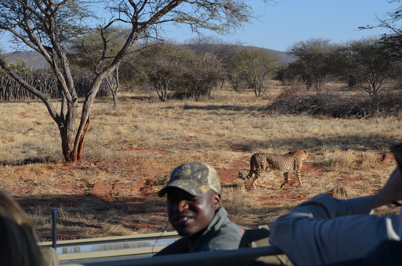 [5117] 2016_06_23_06_57_30_Africa_NIKON_D5100_IMG__04710.jpg