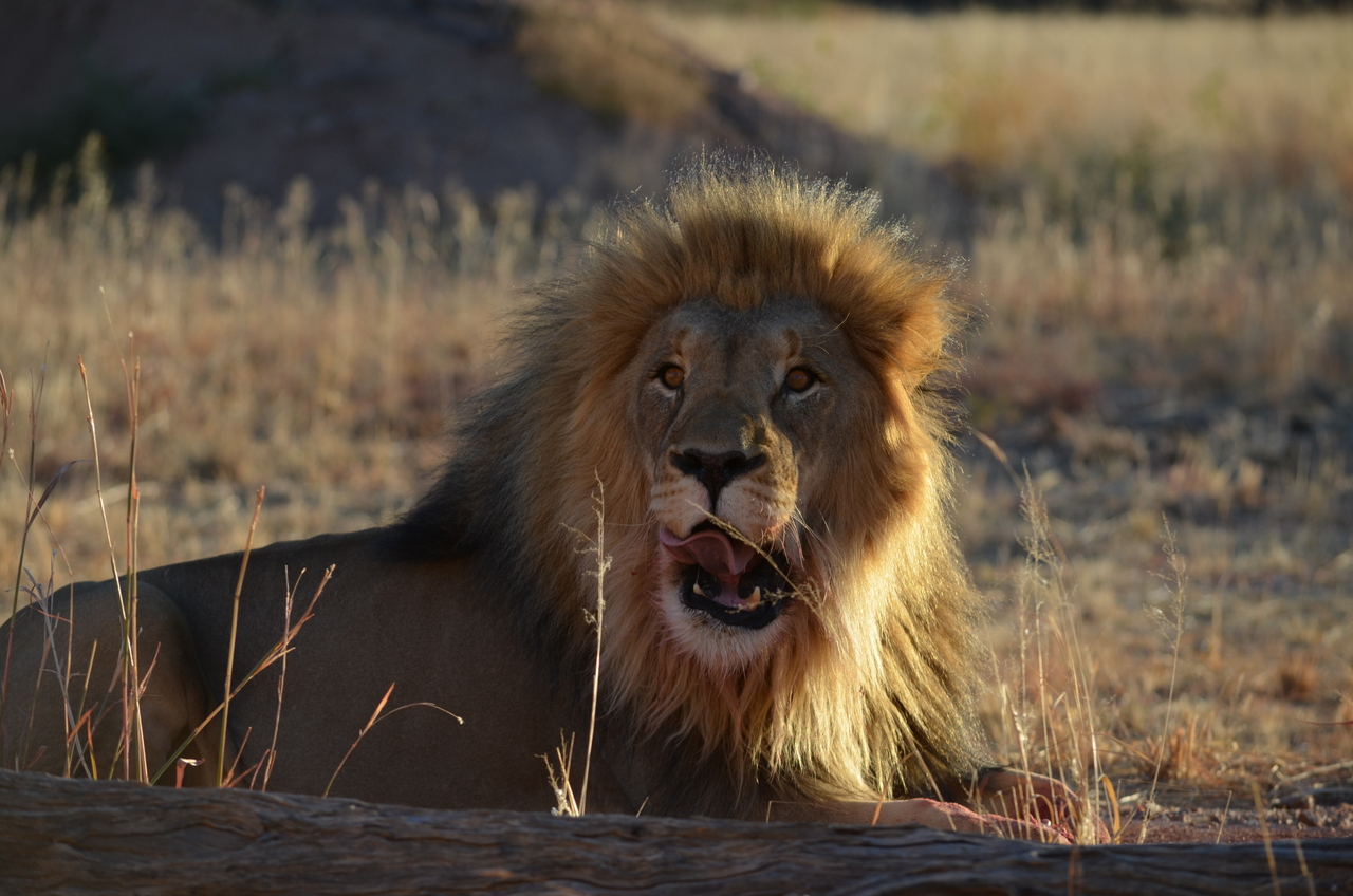 [5190] 2016_06_23_07_57_29_Africa_NIKON_D5100_IMG__00122.jpg