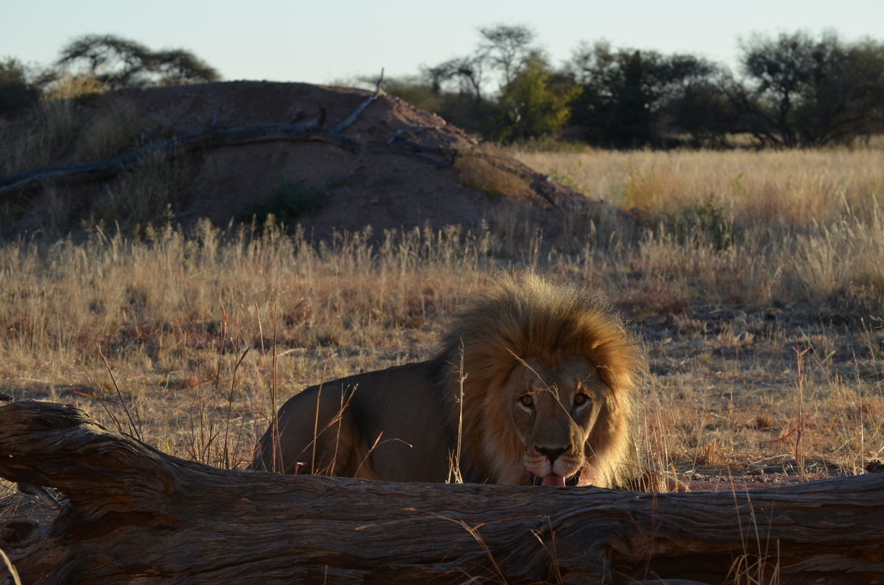 [5201] 2016_06_23_07_59_48_Africa_NIKON_D5100_IMG__04749.jpg