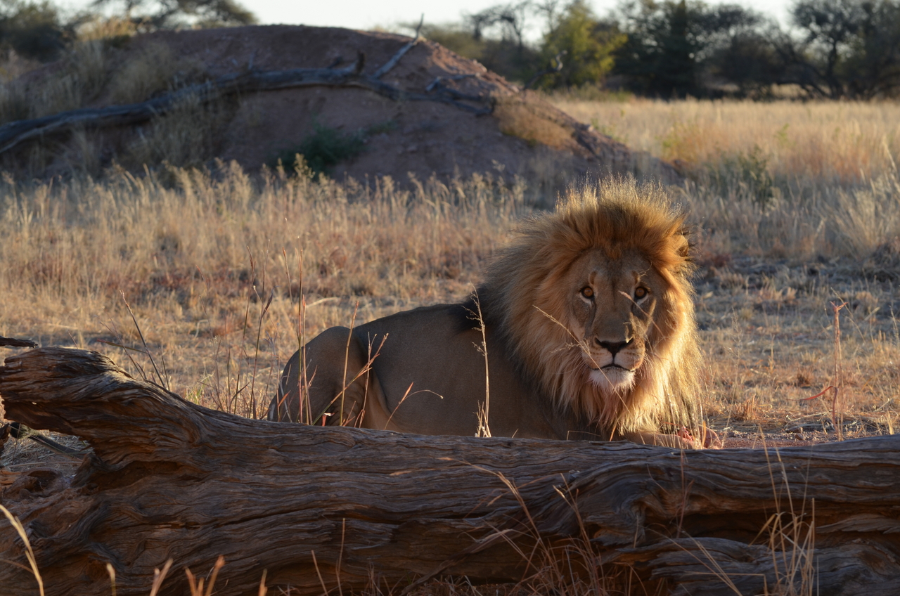 [5209] 2016_06_23_08_01_55_Africa_NIKON_D5100_IMG__04753.jpg