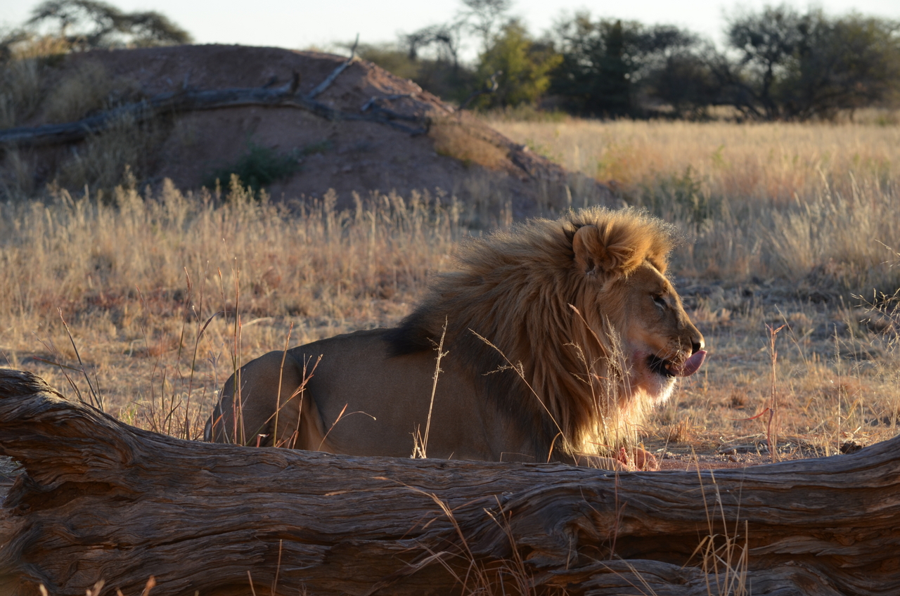 [5211] 2016_06_23_08_02_00_Africa_NIKON_D5100_IMG__04754.jpg