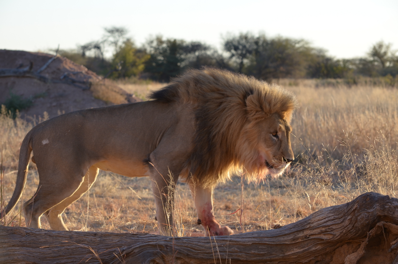 [5215] 2016_06_23_08_02_14_Africa_NIKON_D5100_IMG__04756.jpg