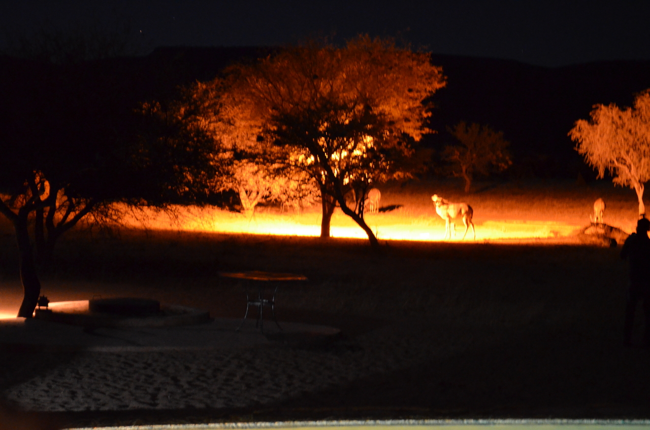 [9015] 2016_06_23_14_28_28_Africa_NIKON_D5100_IMG__04790.jpg