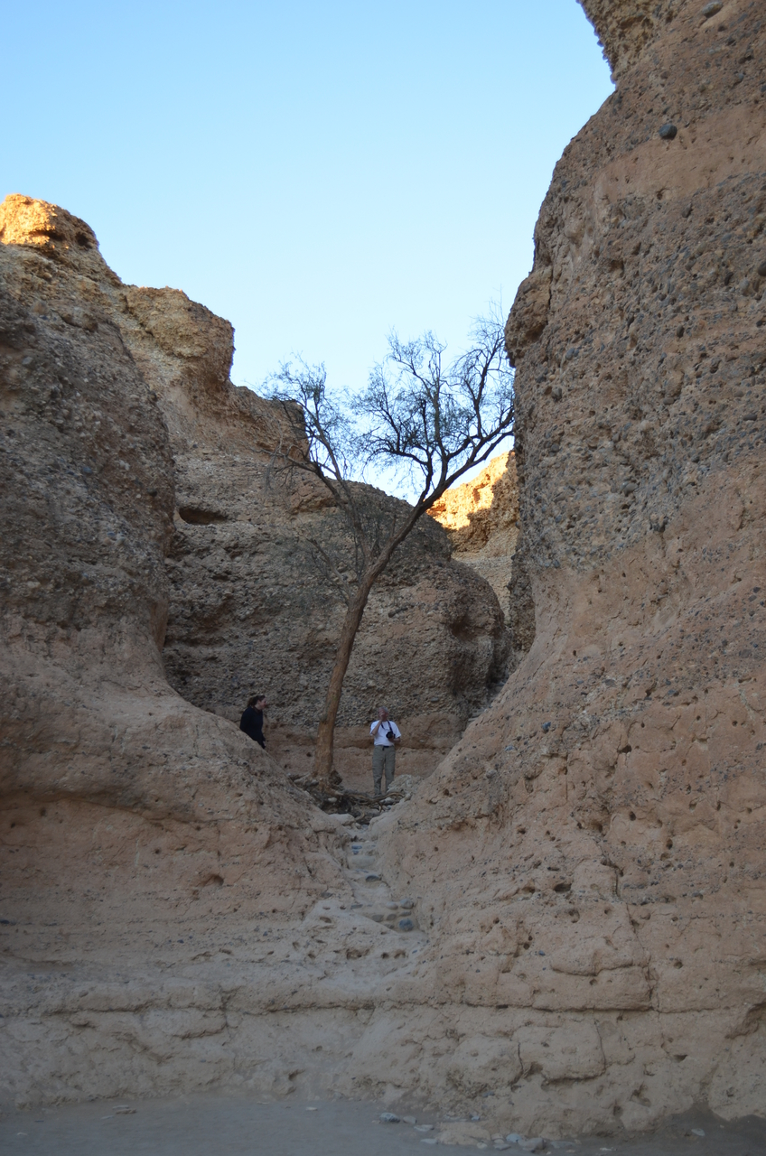 [13748] 2016_06_24_07_59_43_Africa_NIKON_D5100_IMG__04803.jpg