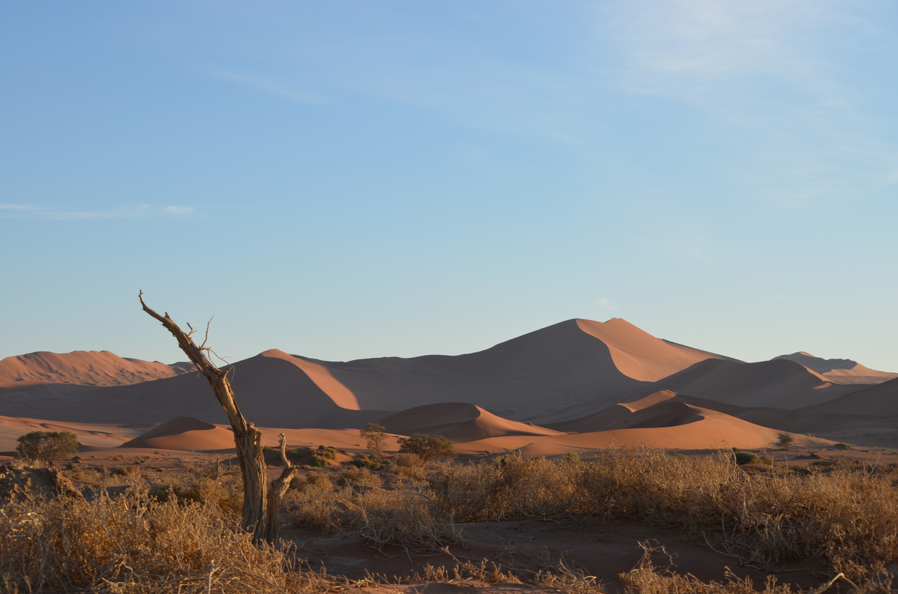 [14385] 2016_06_24_22_29_48_Africa_NIKON_D5100_IMG__00198.jpg