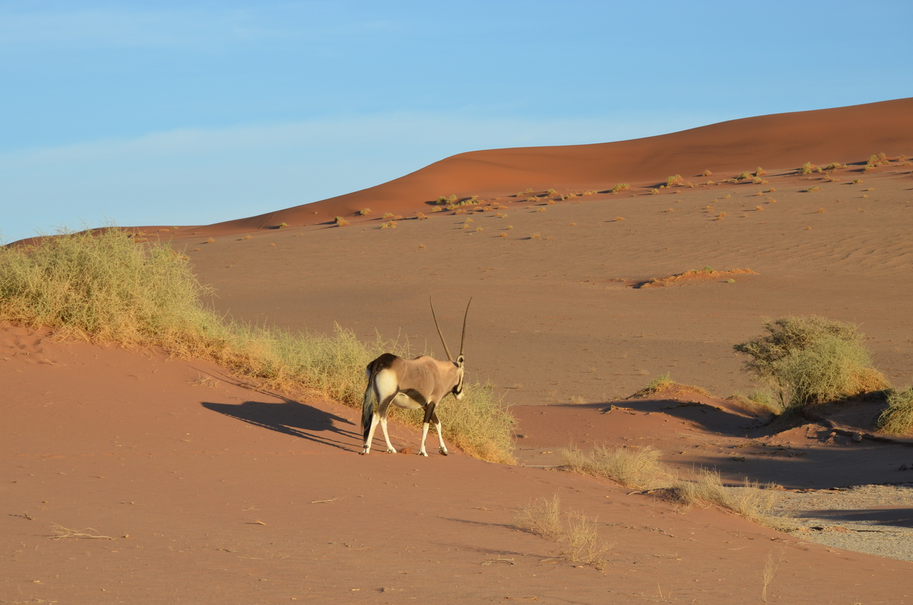 [14390] 2016_06_24_22_39_52_Africa_NIKON_D5100_IMG__04822.jpg