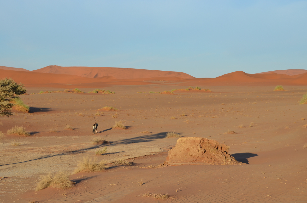 [14393] 2016_06_24_22_41_10_Africa_NIKON_D5100_IMG__00202.jpg