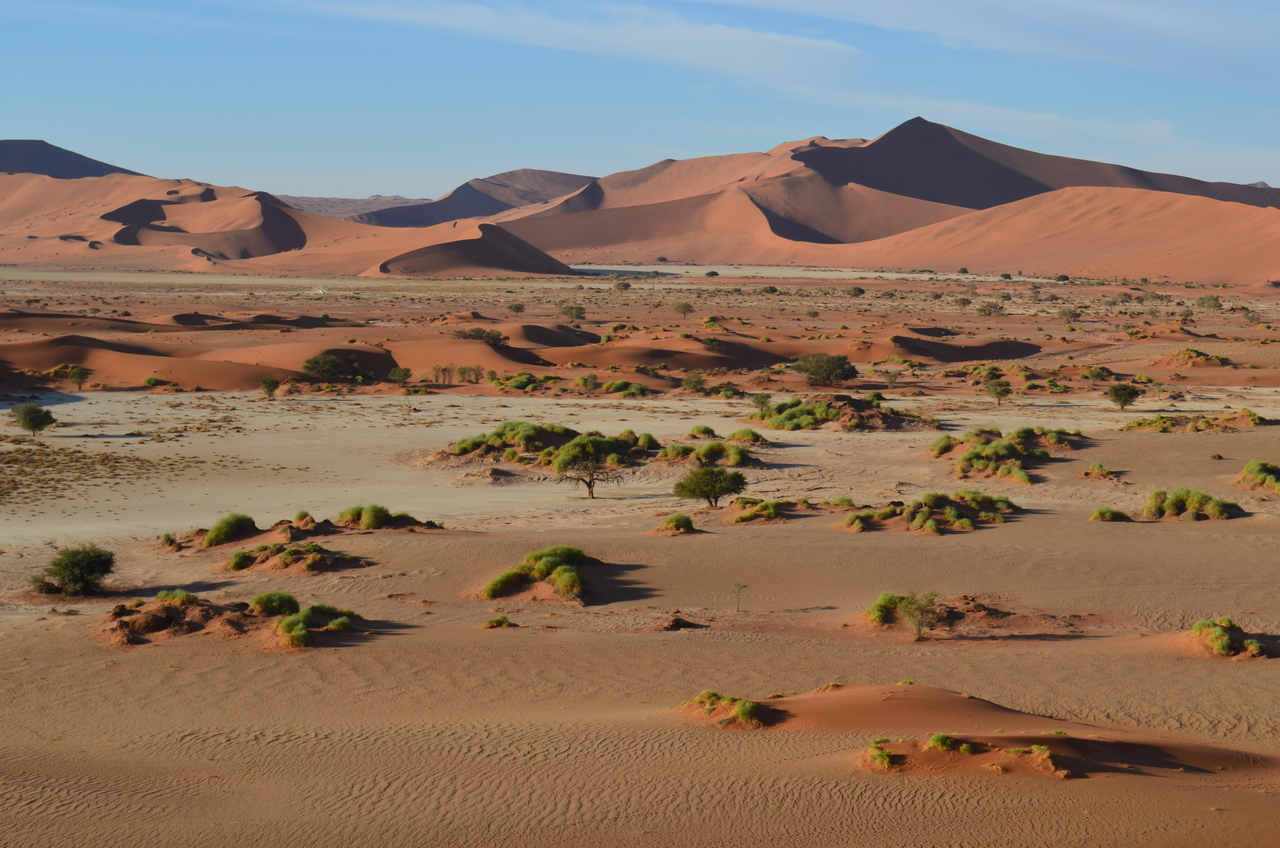 [14440] 2016_06_24_23_11_46_Africa_NIKON_D5100_IMG__04847.jpg