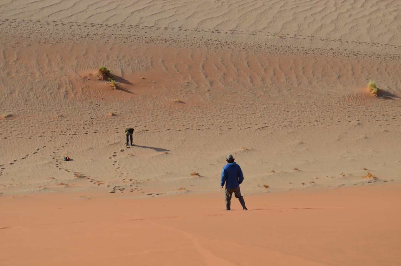 [14485] 2016_06_24_23_56_18_Africa_NIKON_D5100_IMG__00248.jpg