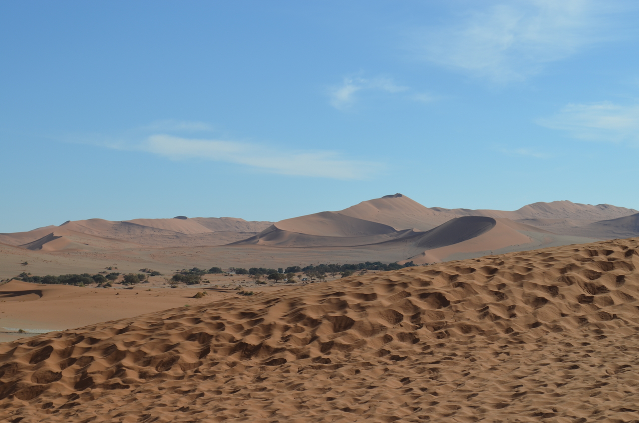 [14492] 2016_06_25_00_54_08_Africa_NIKON_D5100_IMG__04873.jpg