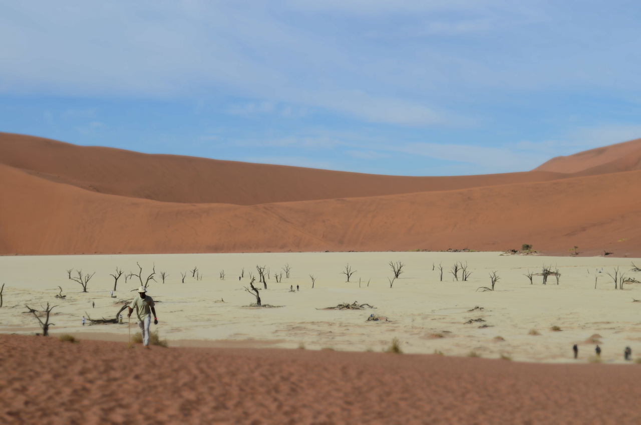 [14494] 2016_06_25_00_55_41_Africa_NIKON_D5100_IMG__04874.jpg