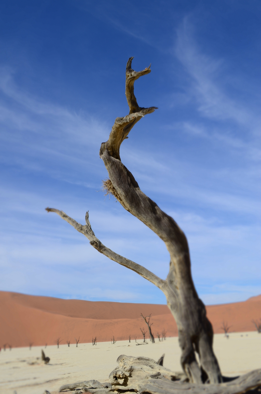 [14505] 2016_06_25_01_04_53_Africa_NIKON_D5100_IMG__00258.jpg