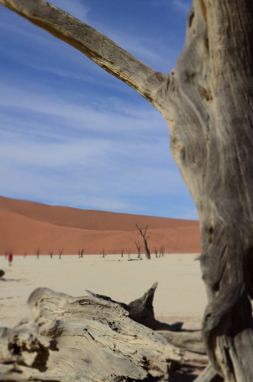 [14509] 2016_06_25_01_05_45_Africa_NIKON_D5100_IMG__00260.jpg