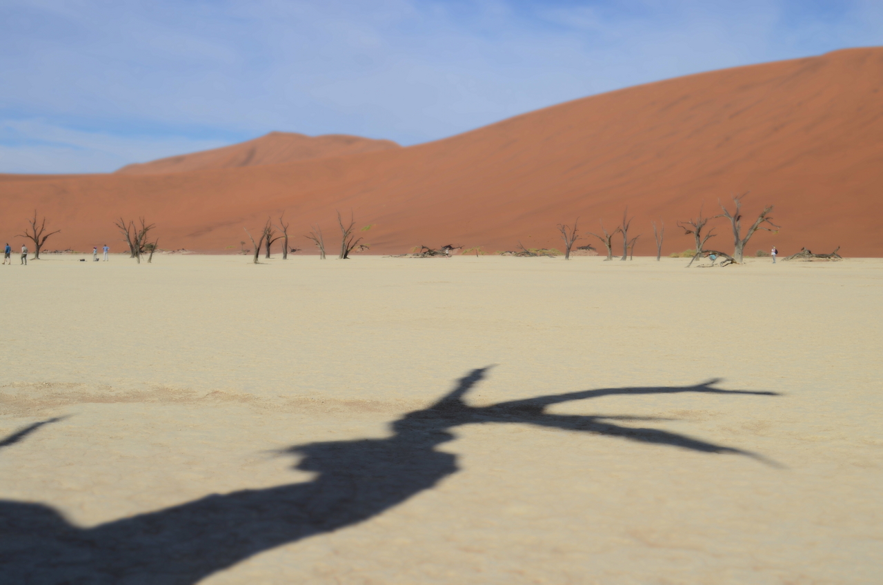 [14511] 2016_06_25_01_06_10_Africa_NIKON_D5100_IMG__00261.jpg