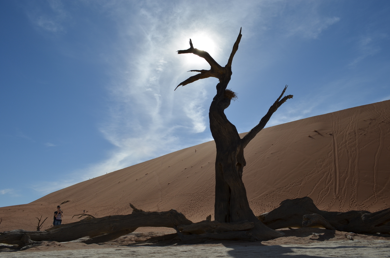 [14521] 2016_06_25_01_08_07_Africa_NIKON_D5100_IMG__00266.jpg