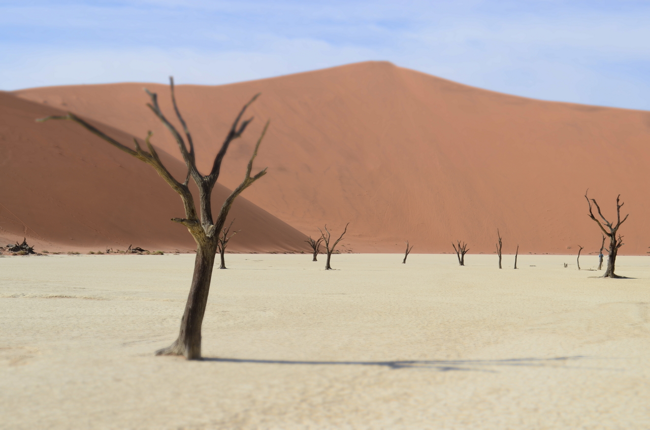 [14526] 2016_06_25_01_10_59_Africa_NIKON_D5100_IMG__04890.jpg