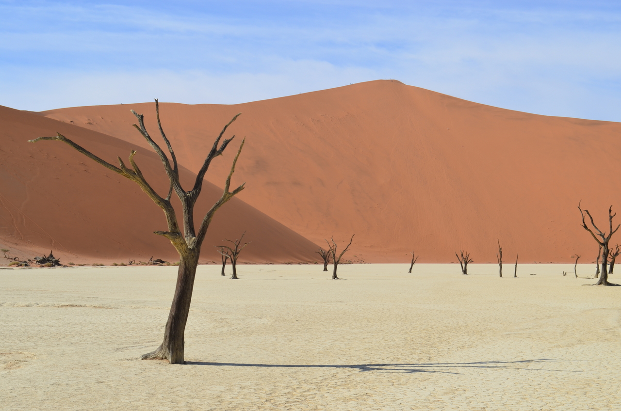 [14528] 2016_06_25_01_11_21_Africa_NIKON_D5100_IMG__04891.jpg