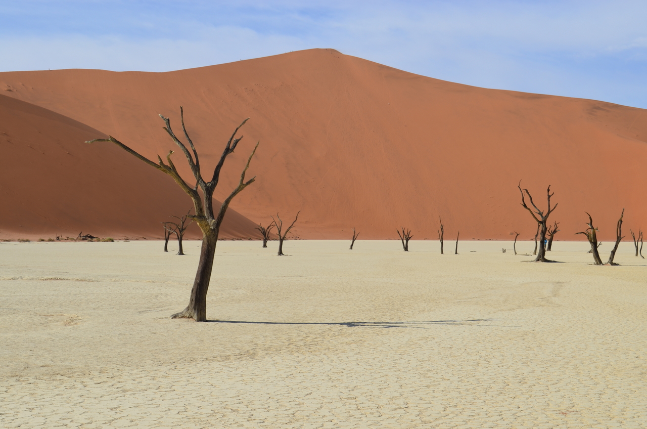 [14530] 2016_06_25_01_11_48_Africa_NIKON_D5100_IMG__04892.jpg