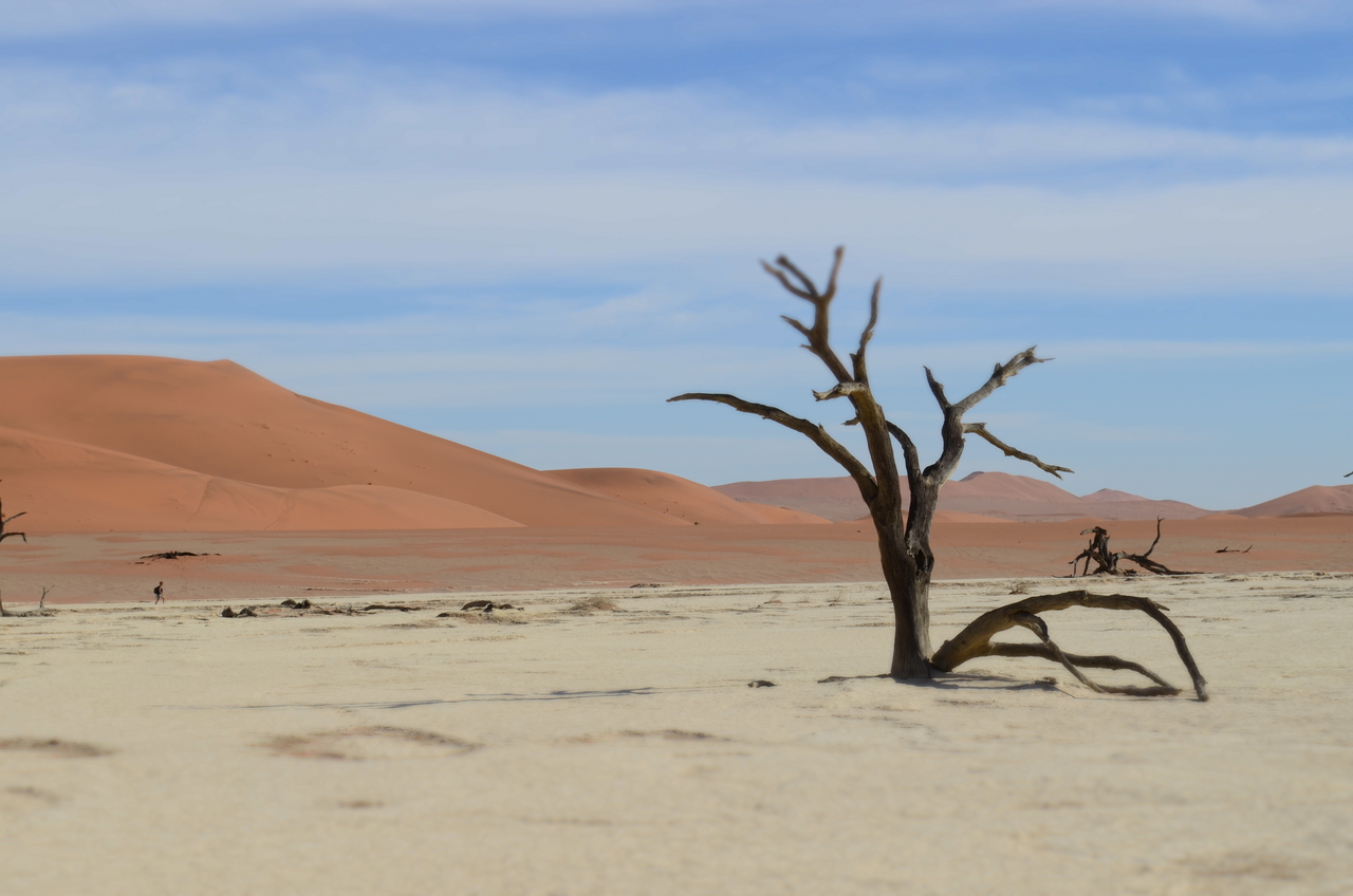 [14533] 2016_06_25_01_12_31_Africa_NIKON_D5100_IMG__00272.jpg