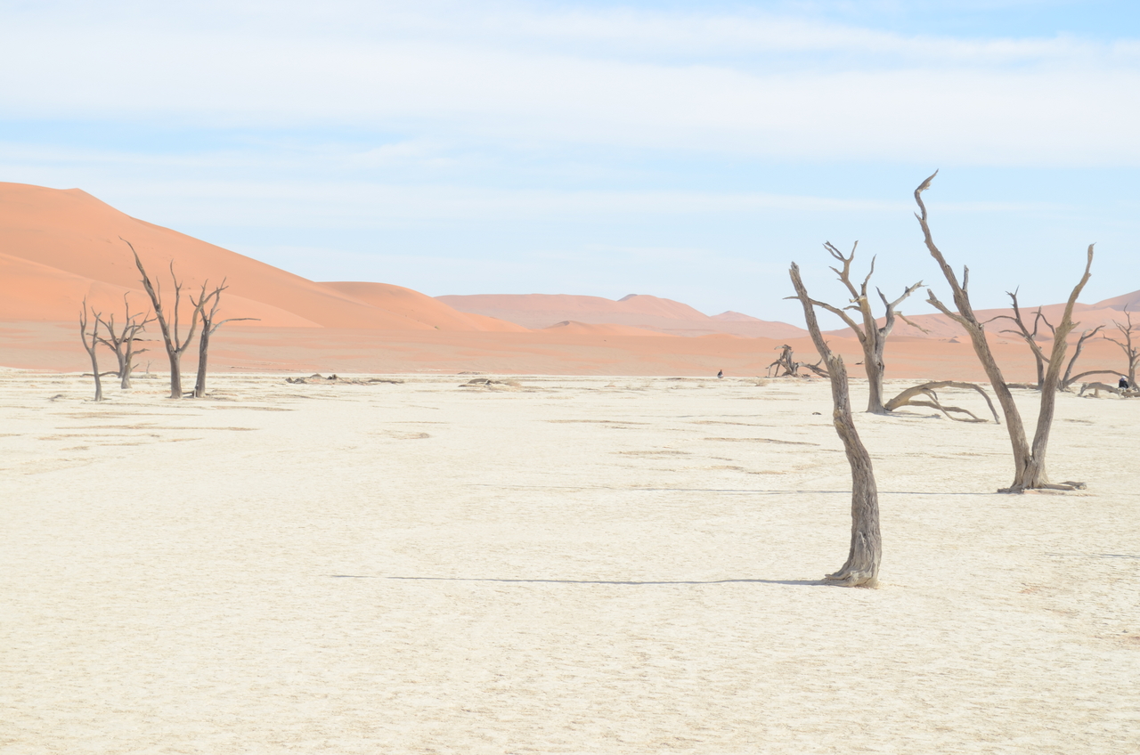 [14539] 2016_06_25_01_13_58_Africa_NIKON_D5100_IMG__00275.jpg