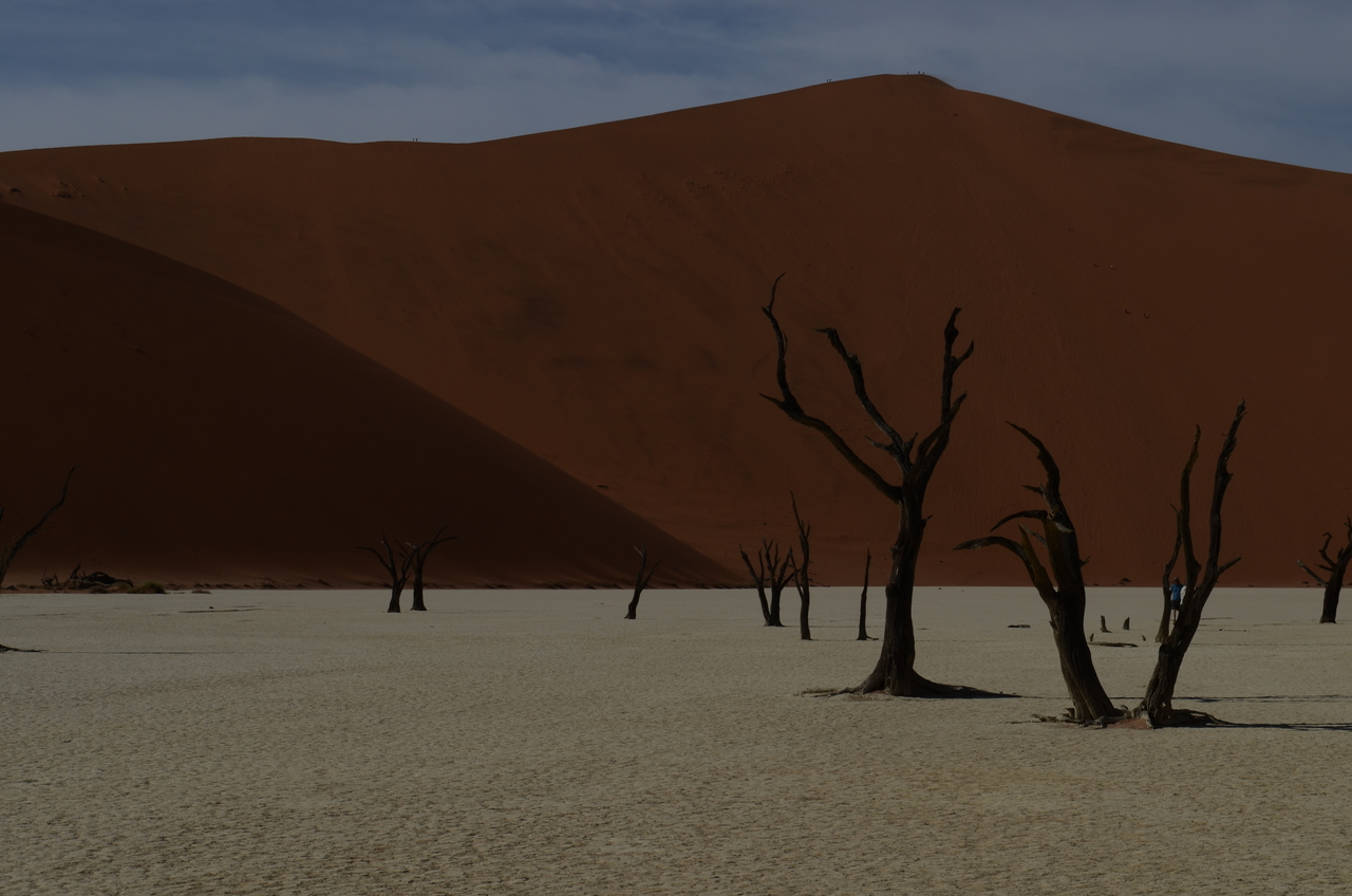 [14544] 2016_06_25_01_14_33_Africa_NIKON_D5100_IMG__04899.jpg