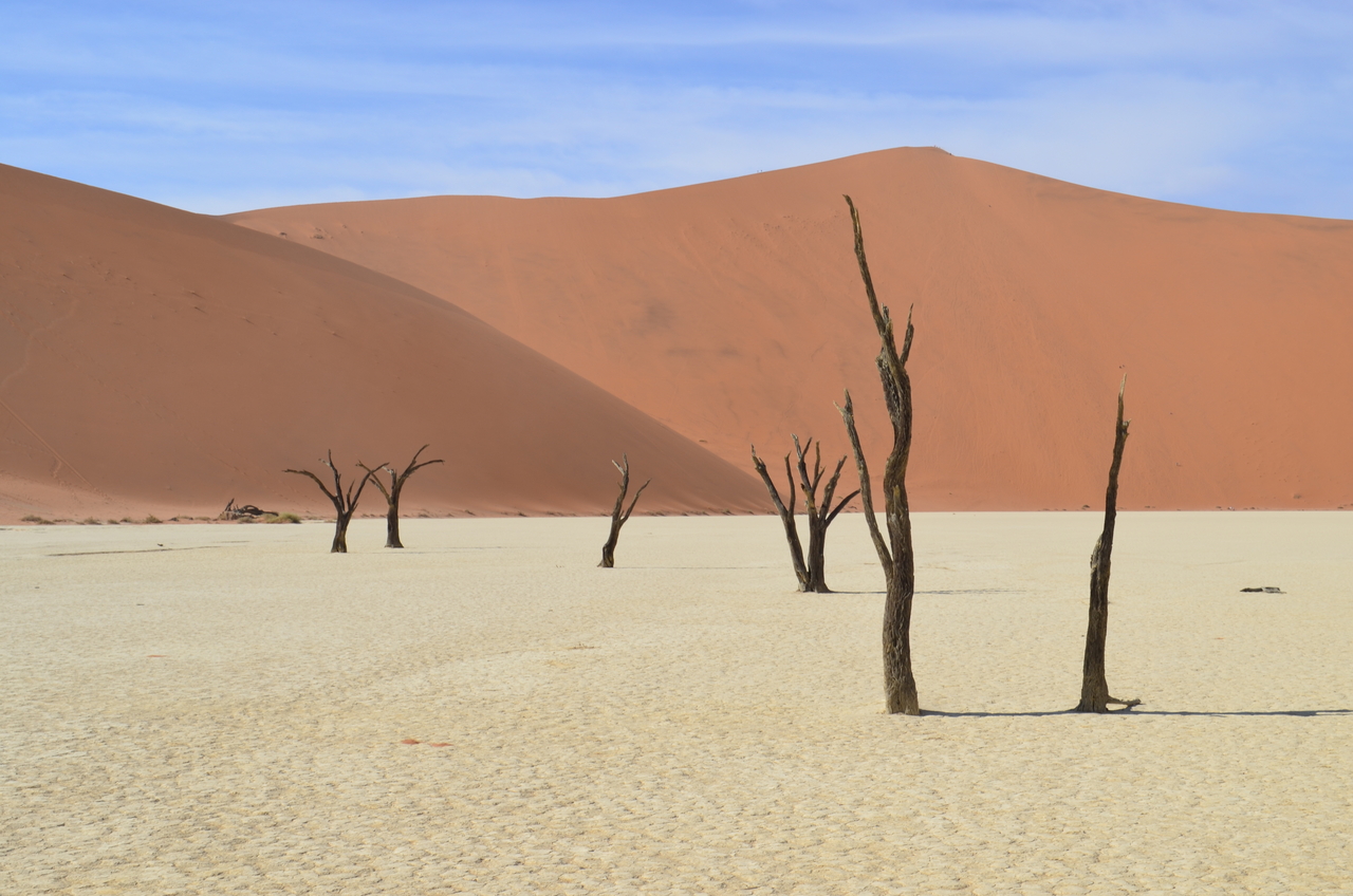 [14547] 2016_06_25_01_18_45_Africa_NIKON_D5100_IMG__00279.jpg