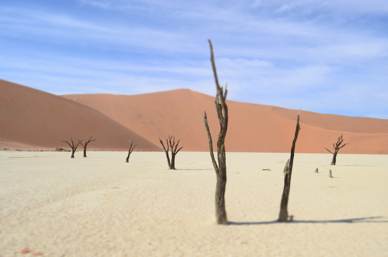 [14550] 2016_06_25_01_19_00_Africa_NIKON_D5100_IMG__04902.jpg