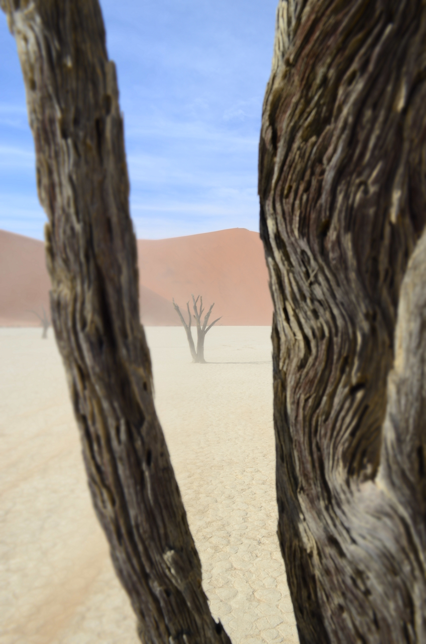 [14562] 2016_06_25_01_23_02_Africa_NIKON_D5100_IMG__04908.jpg