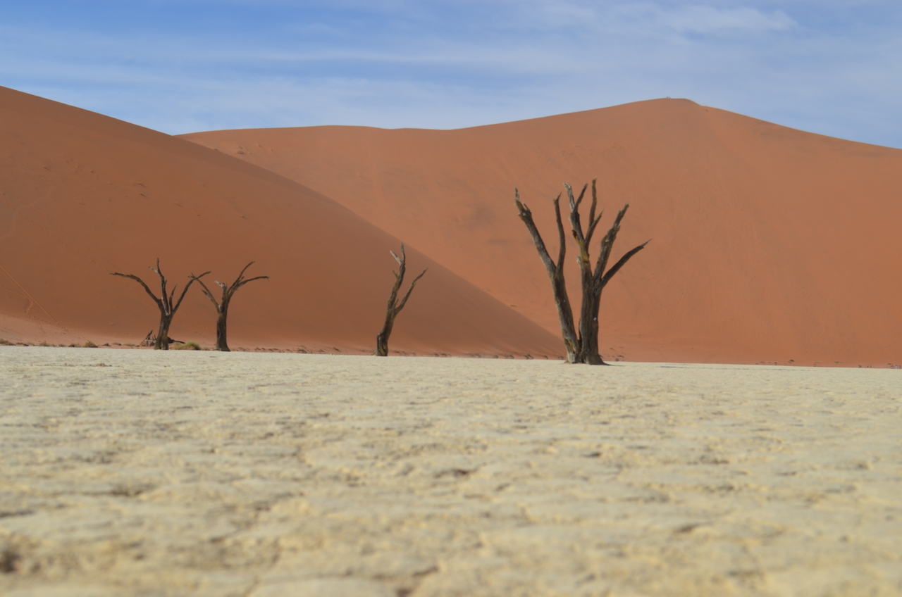 [14573] 2016_06_25_01_24_44_Africa_NIKON_D5100_IMG__00292.jpg