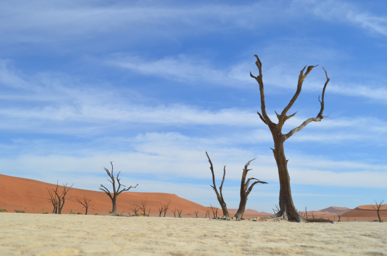 [14584] 2016_06_25_01_26_15_Africa_NIKON_D5100_IMG__04917.jpg