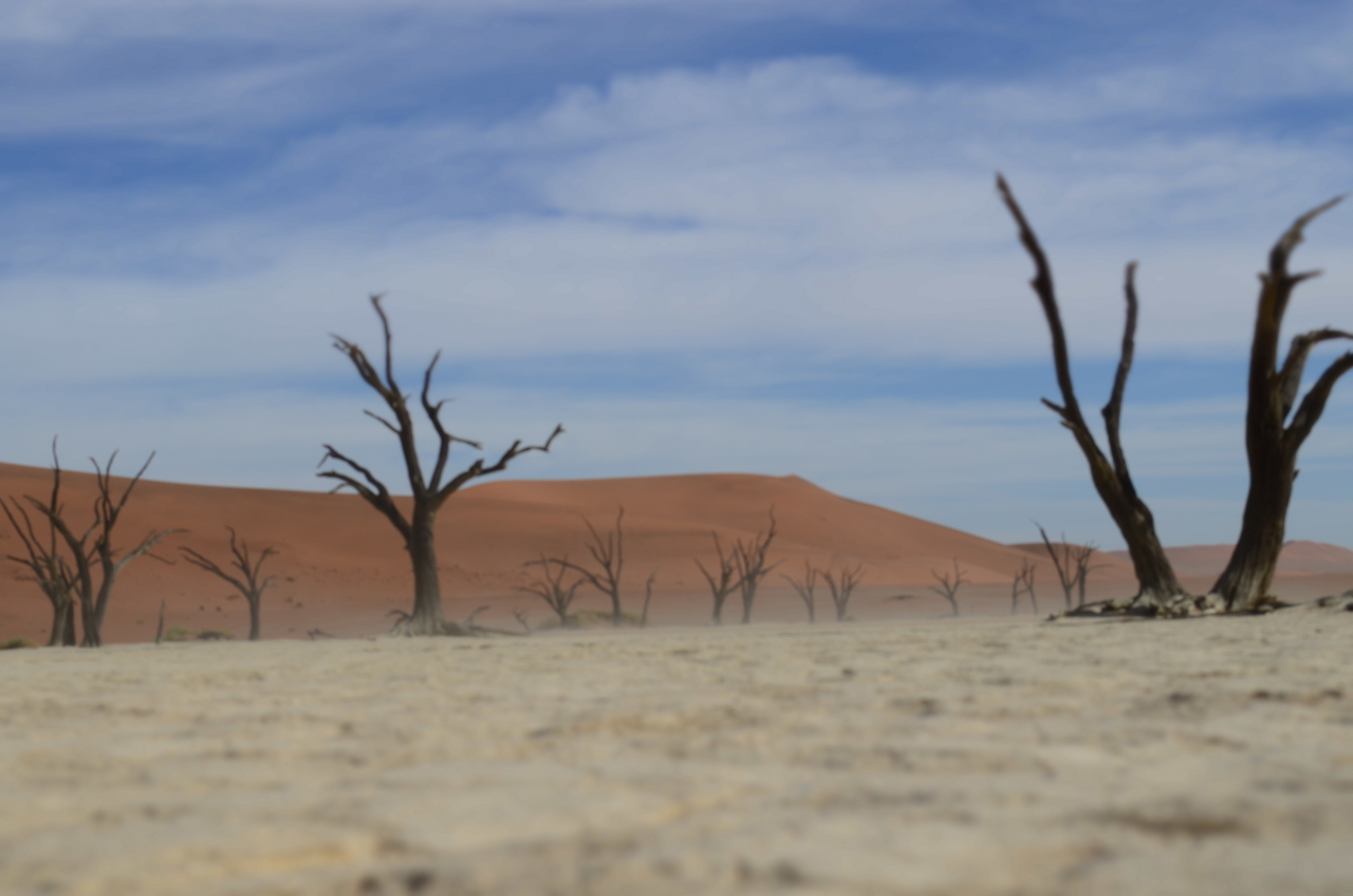 [14585] 2016_06_25_01_26_57_Africa_NIKON_D5100_IMG__00296.jpg