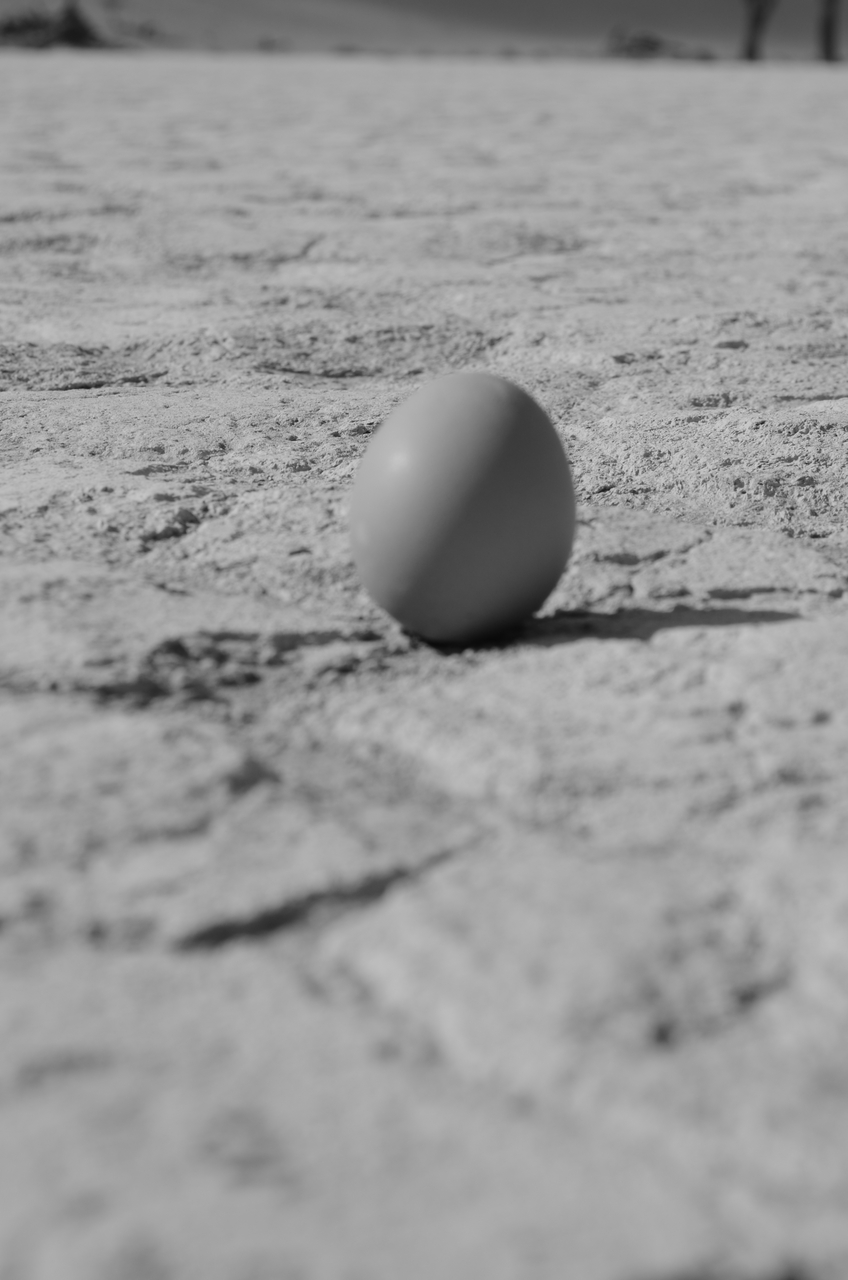 [14603] 2016_06_25_01_30_38_Africa_NIKON_D5100_IMG__00305.jpg