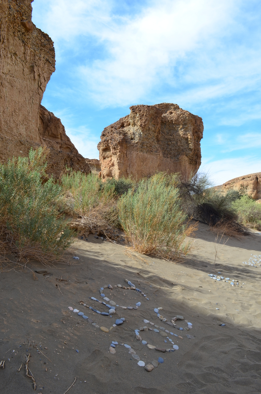 [15170] 2016_06_25_03_44_55_Africa_NIKON_D5100_IMG__04938.jpg