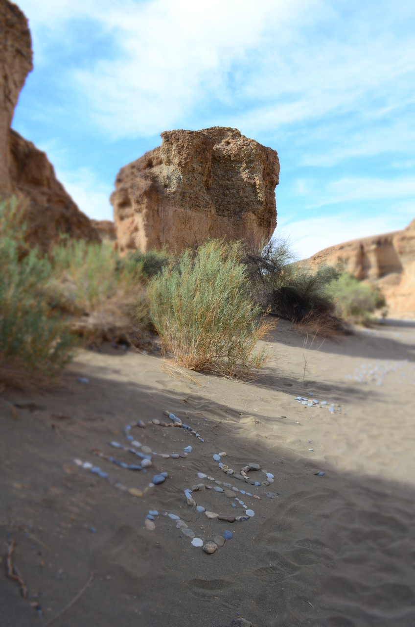 [15172] 2016_06_25_03_45_14_Africa_NIKON_D5100_IMG__04939.jpg