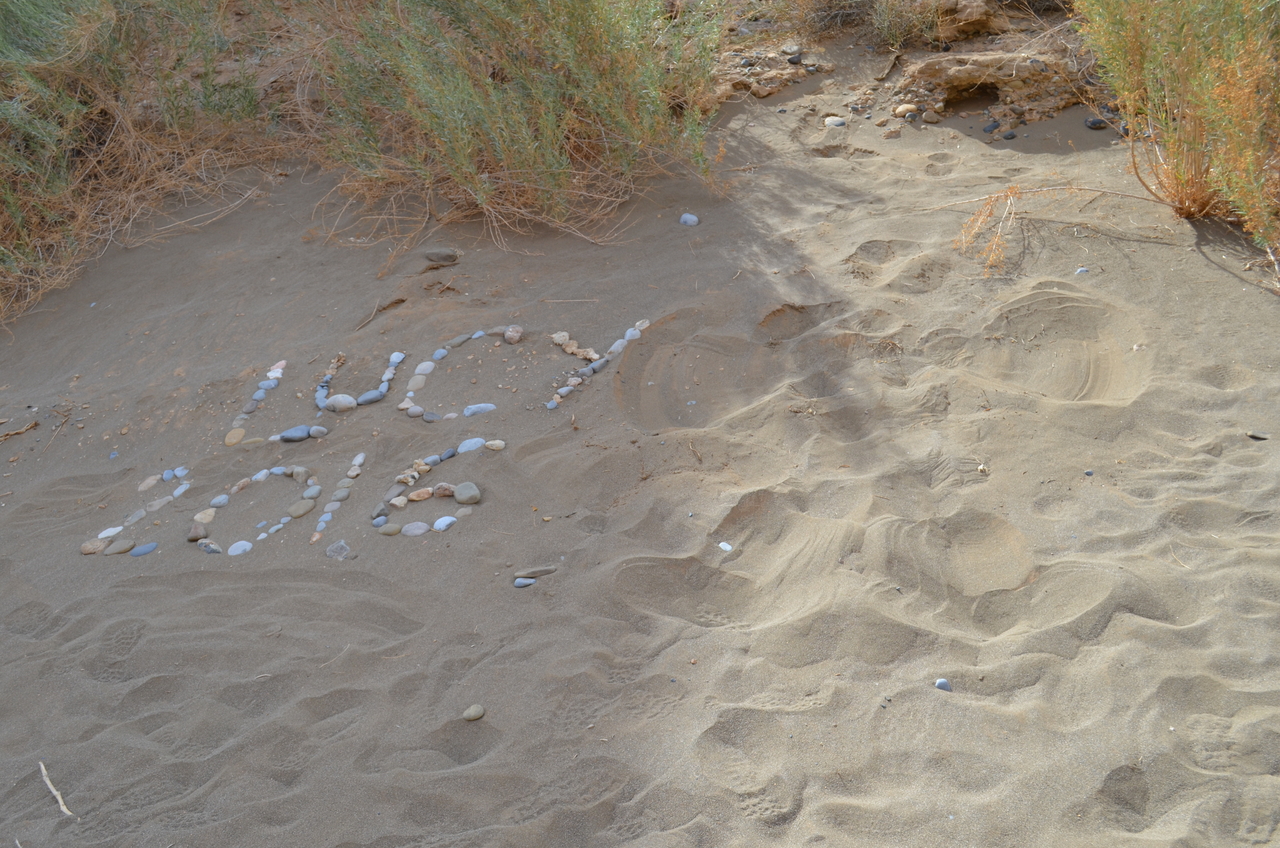 [15173] 2016_06_25_03_46_57_Africa_NIKON_D5100_IMG__00318.jpg