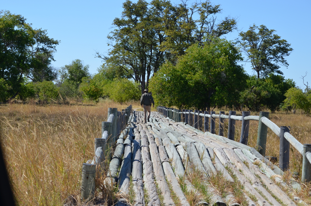 [17699] 2016_06_28_01_26_08_Africa_NIKON_D5100_IMG__00407.jpg