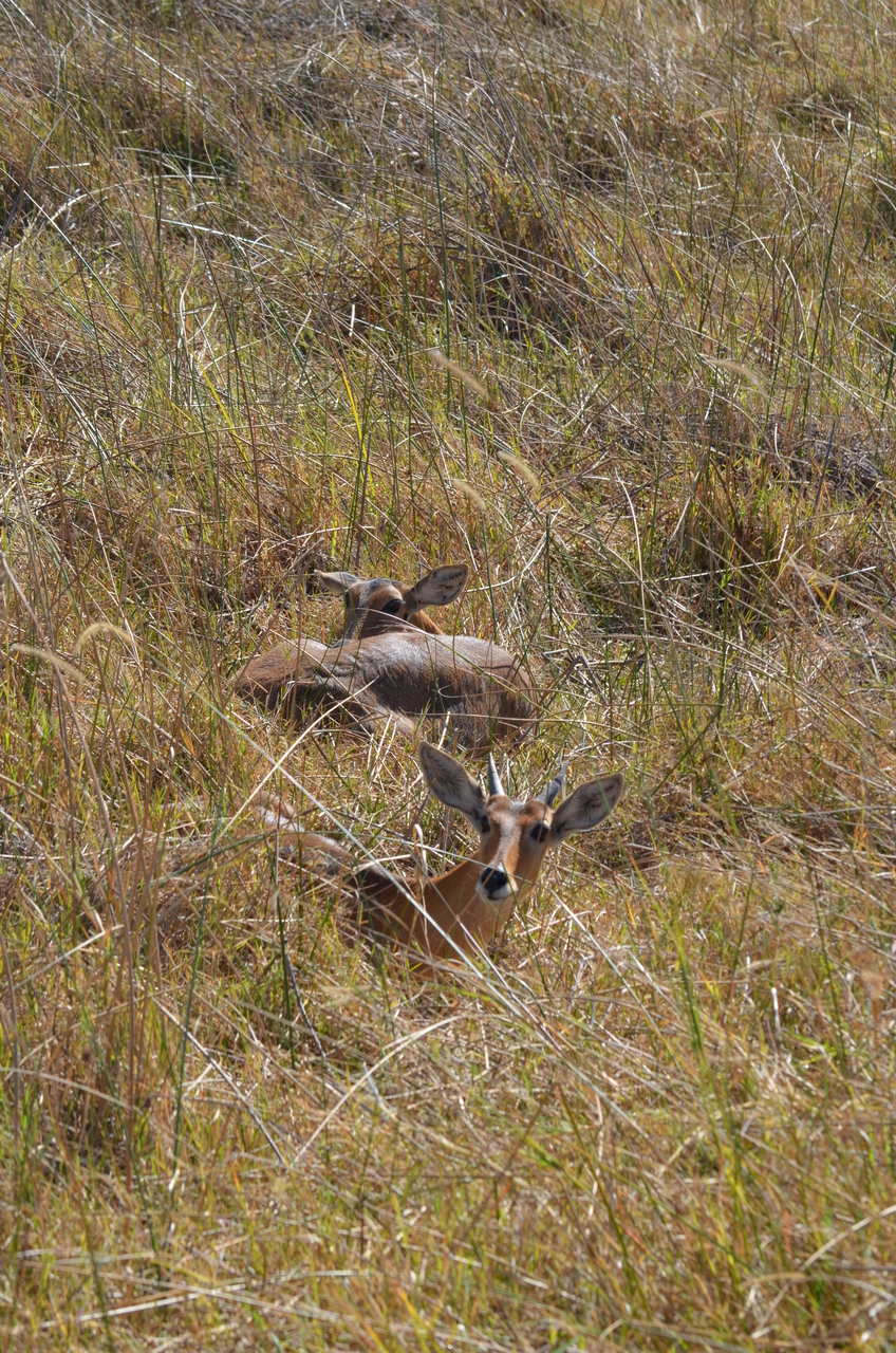 [17702] 2016_06_28_01_28_20_Africa_NIKON_D5100_IMG__05030.jpg
