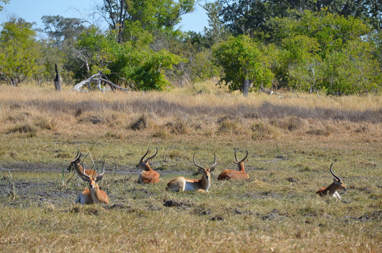 [17721] 2016_06_28_01_42_04_Africa_NIKON_D5100_IMG__05035.jpg
