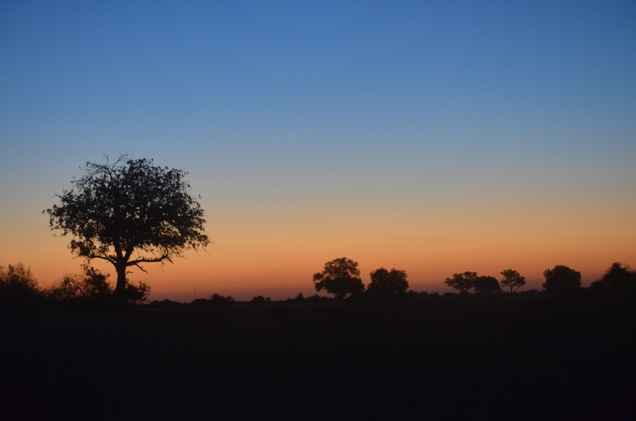 [21436] 2016_06_29_08_38_04_Africa_NIKON_D5100_IMG__05128.jpg