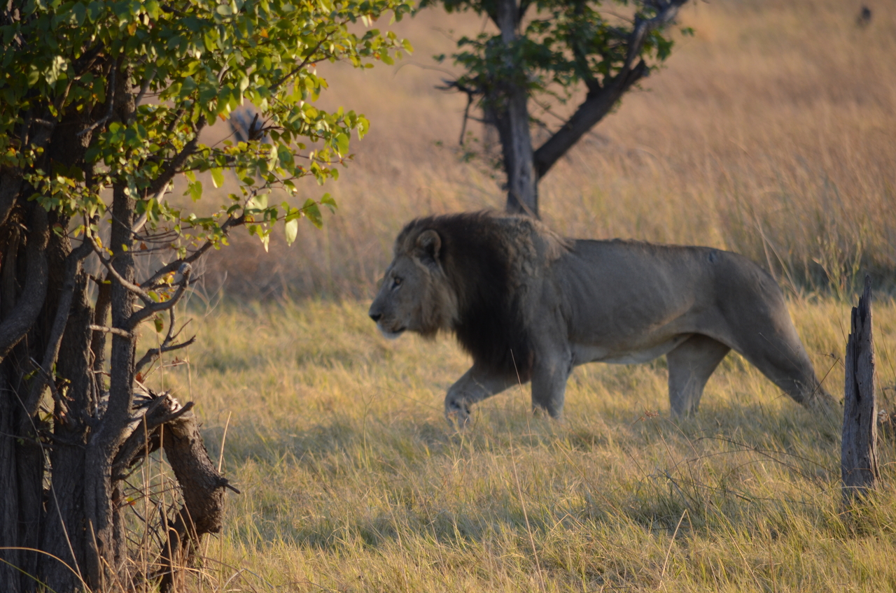 [22282] 2016_06_29_21_46_40_Africa_NIKON_D5100_IMG__00513.jpg