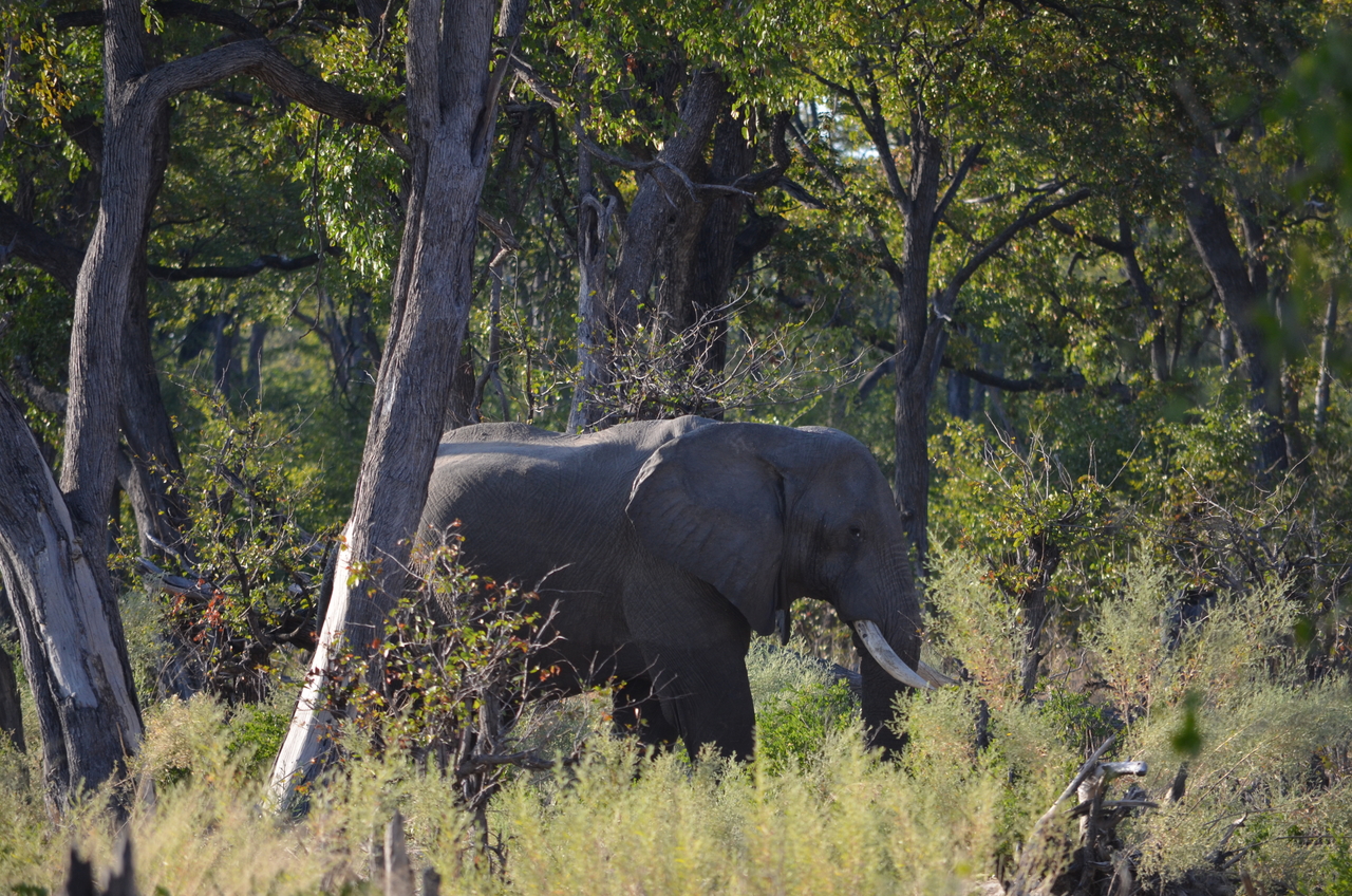 [22305] 2016_06_29_22_20_51_Africa_NIKON_D5100_IMG__05146.jpg