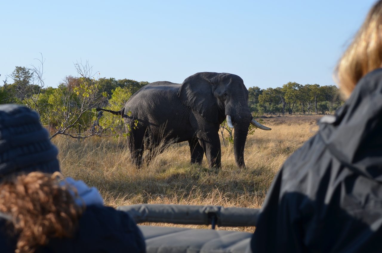 [22311] 2016_06_29_22_39_08_Africa_NIKON_D5100_IMG__05149.jpg