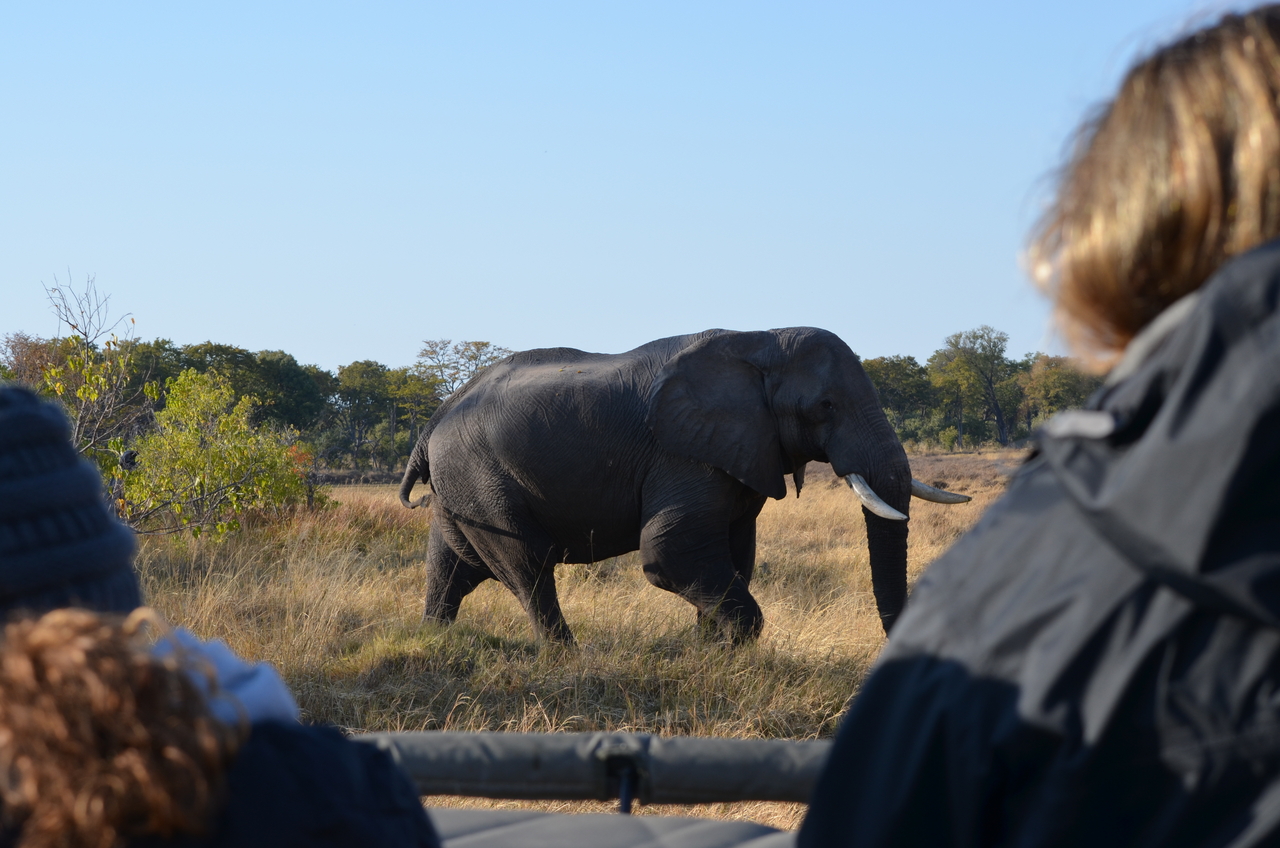 [22313] 2016_06_29_22_39_10_Africa_NIKON_D5100_IMG__05150.jpg