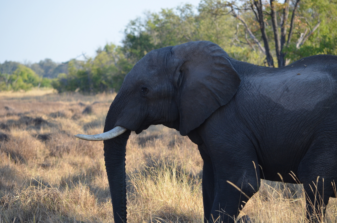 [22325] 2016_06_29_22_40_44_Africa_NIKON_D5100_IMG__05156.jpg