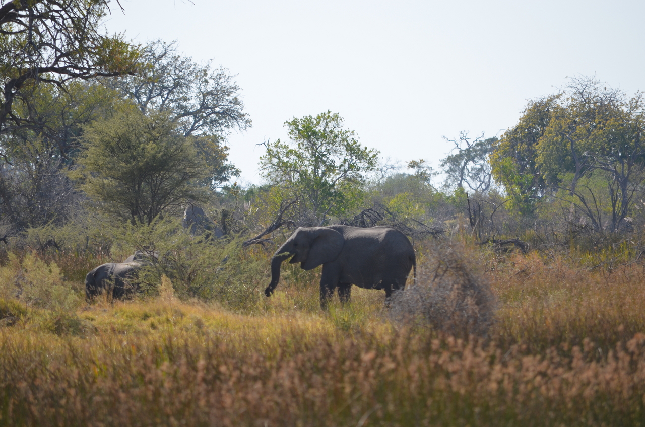 [22395] 2016_06_30_00_58_25_Africa_NIKON_D5100_IMG__05189.jpg